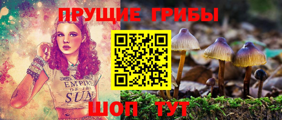 Галлюциногенные грибы Psilocybine cubensis Самара